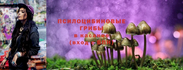 каннабис Баксан